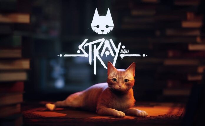 Stray