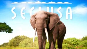 تحميل لعبة Seclusa للكمبيوتر كاملة من ميديا فاير - Wifi4Games