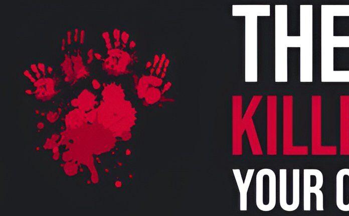 تحميل لعبة They Killed Your Cat للكمبيوتر كاملة من ميديا فاير - Wifi4Games